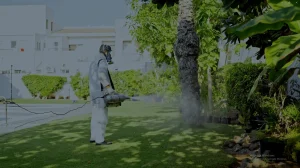 5 Essential Benefits of Annual Termite Inspection for Every Property Owner