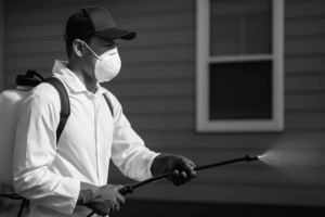 9 Essential Insights for Effective Pest Control in Dubai