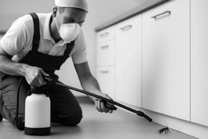 9 Essential Strategies for Effective Cockroach Control Dubai